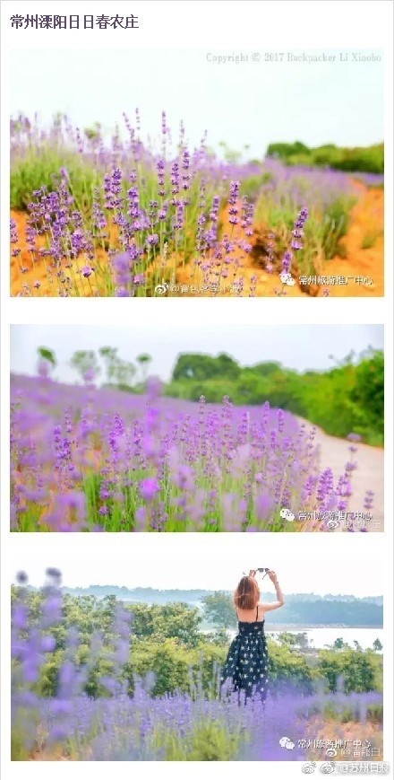 国产乱人在线无码Av