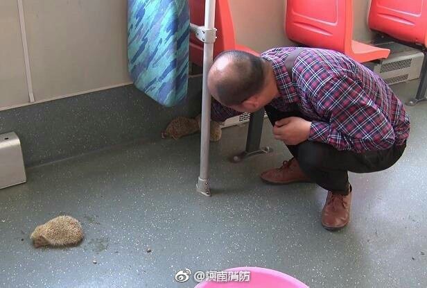 免费 色情 网址