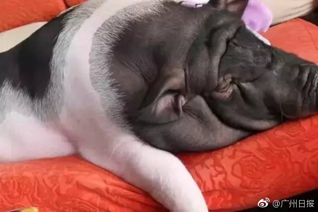 Www亚洲性乱伦Hd