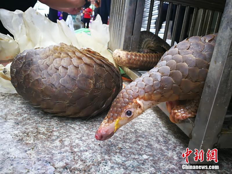台湾这个女人三级片