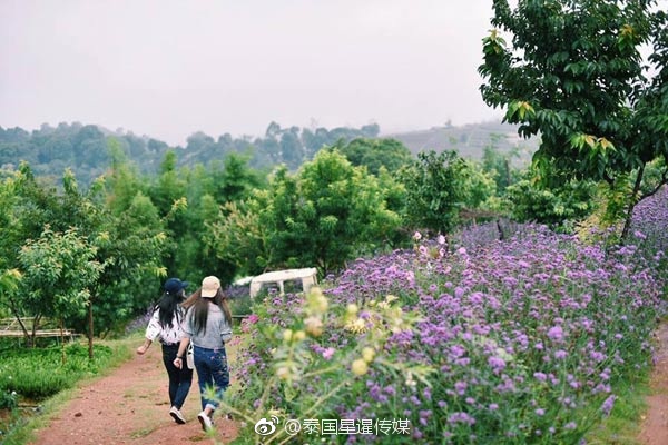 越南三级片在线观看完整版