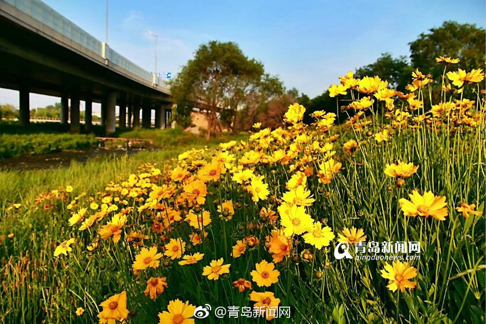 久热久热