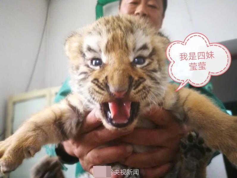 亚洲自拍偷拍视频大全