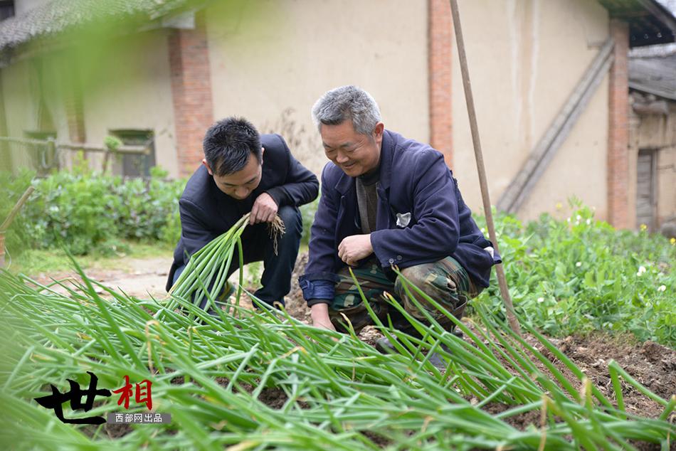 欧美肥妇毛多多