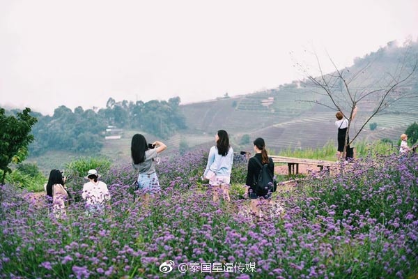 密桃成熟时一级毛片