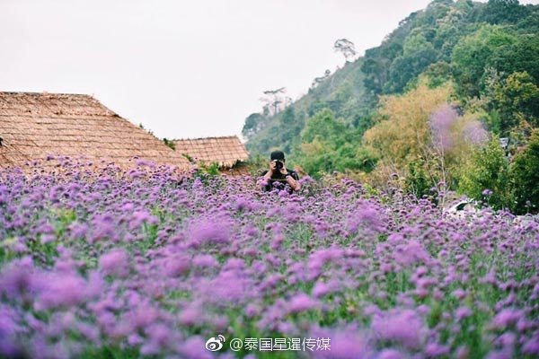 藏獒又硬又粗进去好爽A片免费