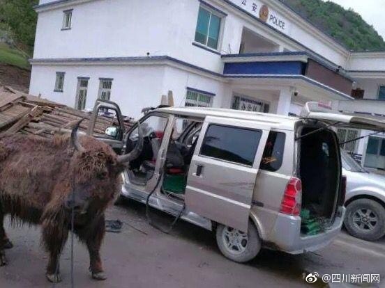 欧美性猛交Xxxxxⅹxx电影