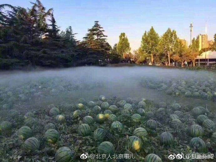 魅影看B站直播可以吗手机版
