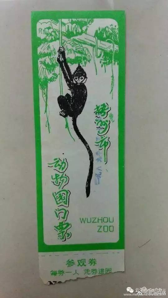 性偷窥Free