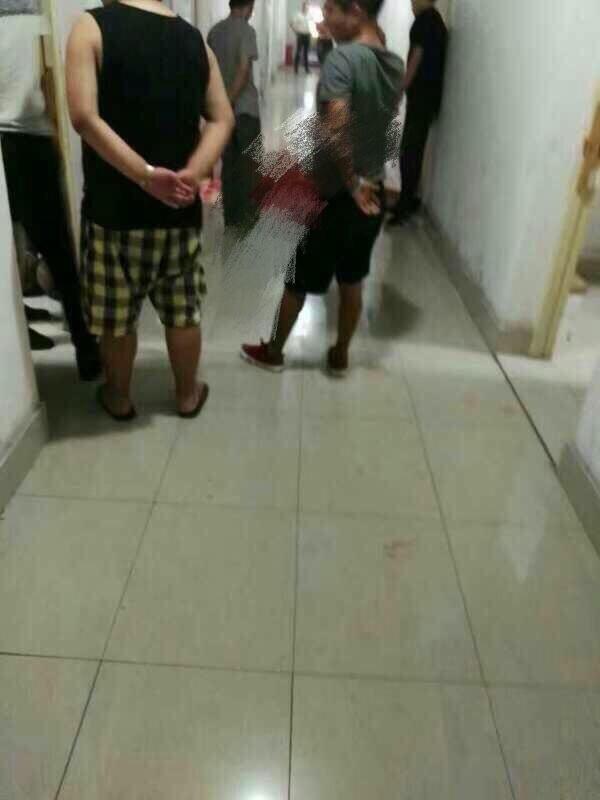 女人与藏獒交酡全过