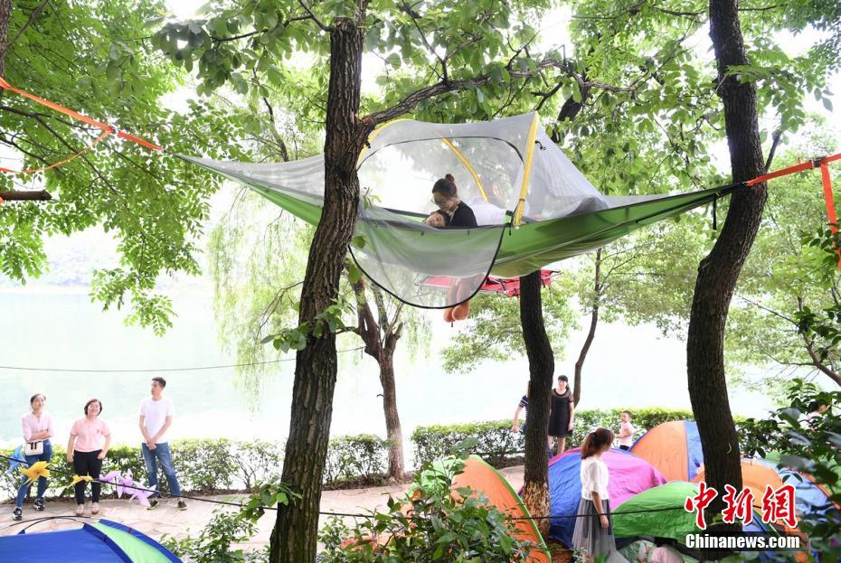1688黄色免费网站