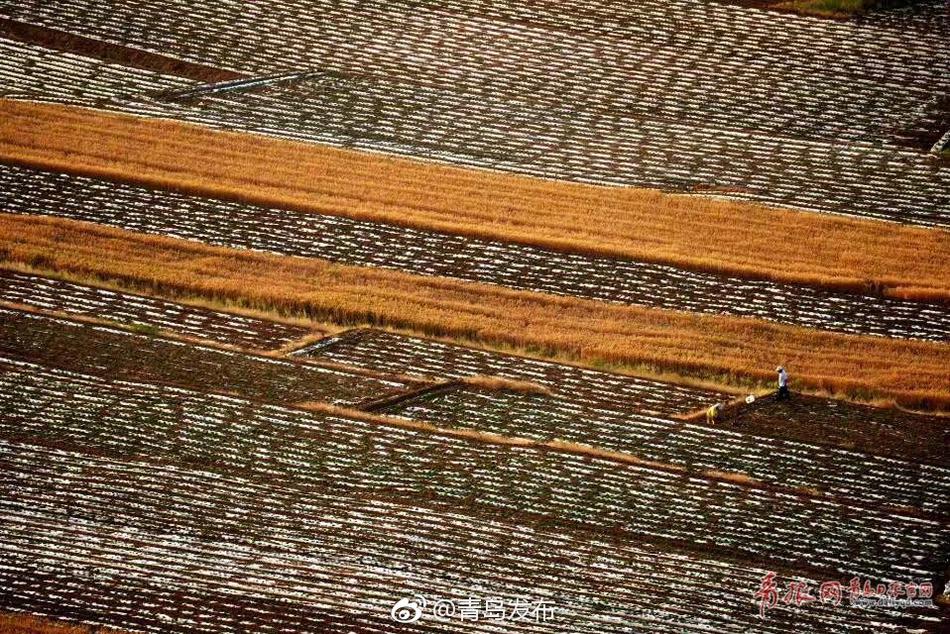 空姐偷吃攝影師影片