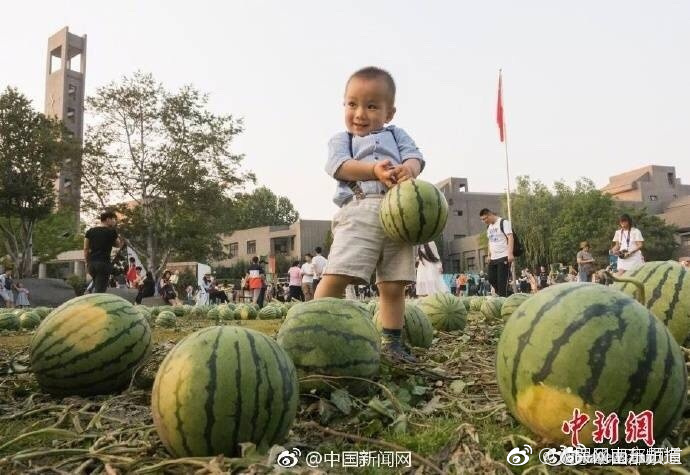夫。夫妻Av三级片