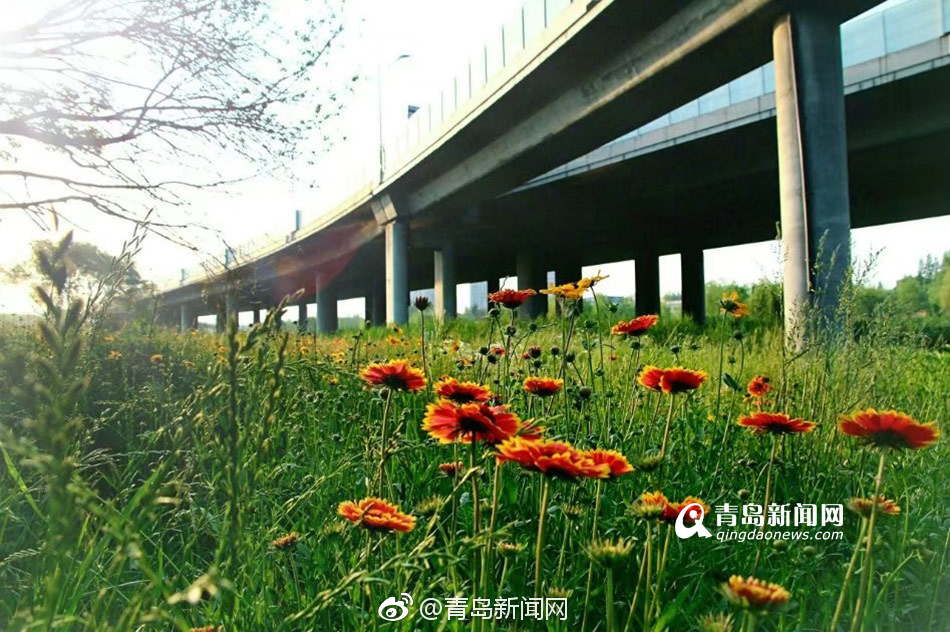 美国三级片在线观看
