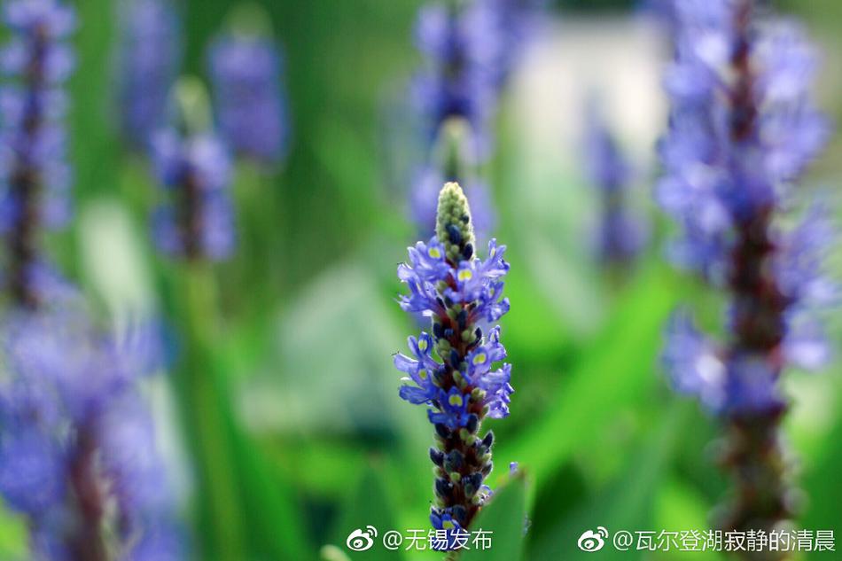 操胖女人逼逼