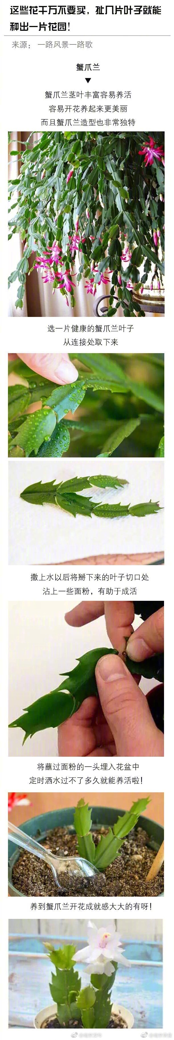 中文字幕在线观看