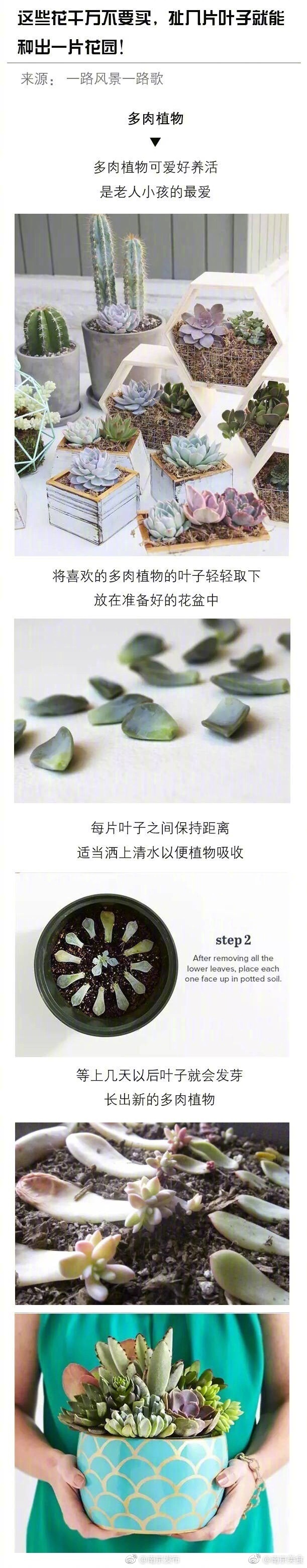 多毛大肥女BBBB