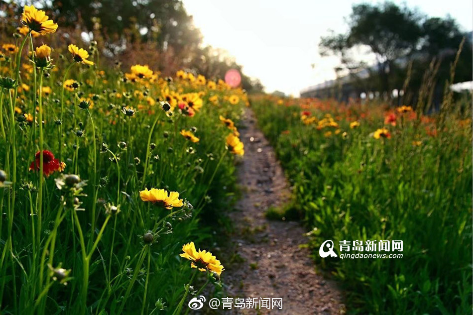 欧美另类高清videos的特点