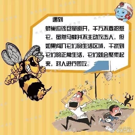 黄色视频手机版免费在线观看