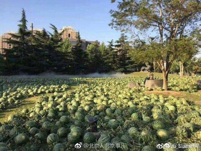 刘亦菲Bx紧水又多