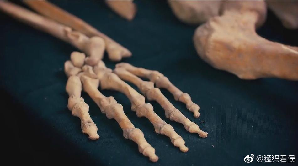 adc年龄确认欢迎您的大驾光临,点此