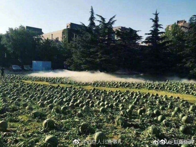老太奶性BBWBBWBBW视频了一直叫