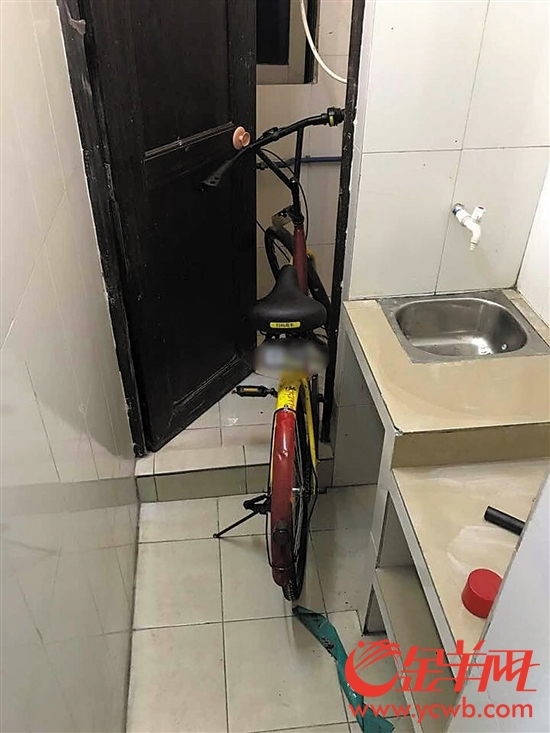 少妇真人直播