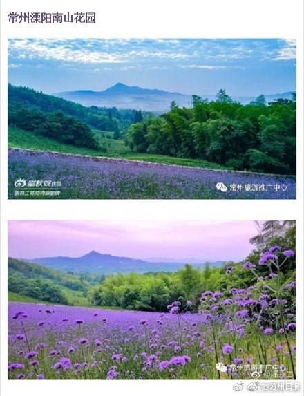 欧美又粗又硬又爽直播大片