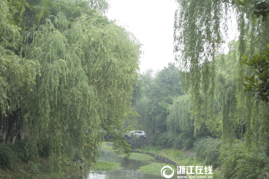 进入二级黄色网站