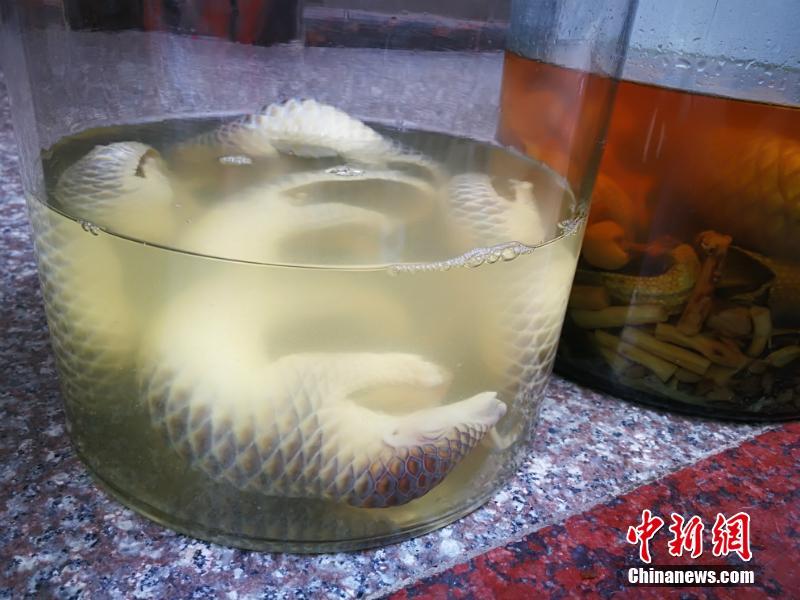 免費色情網站
