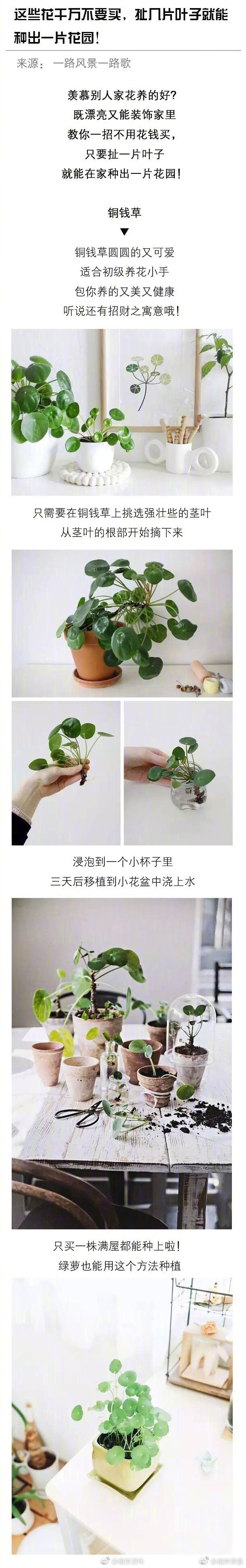 灌肠