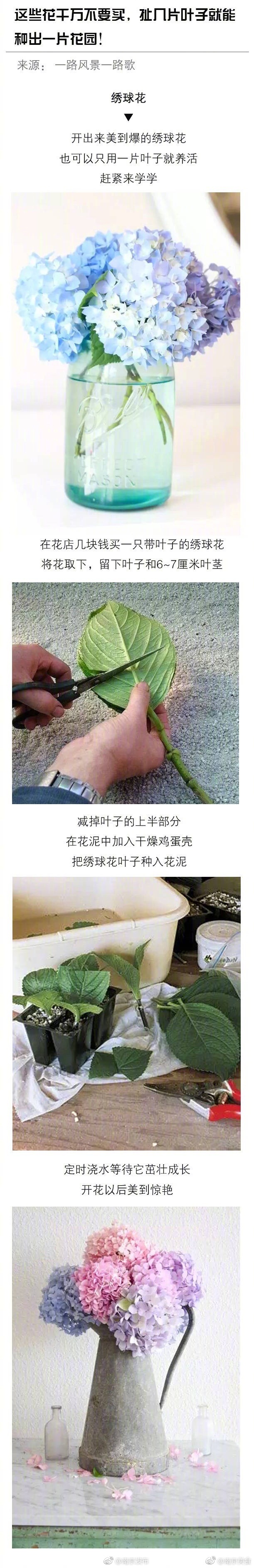 天天爽