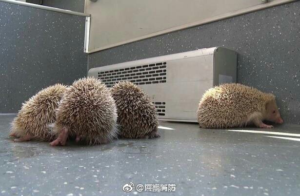 性爱动态