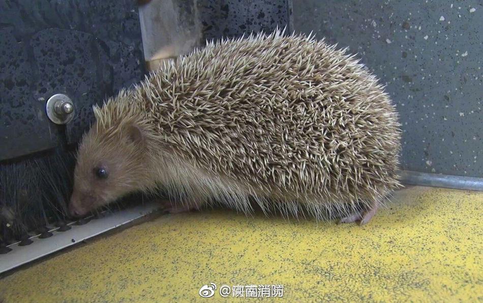五月天色色色