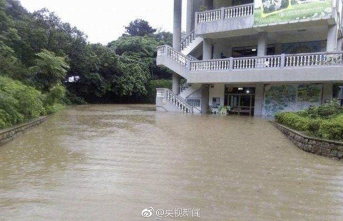 岳 理伦片日本