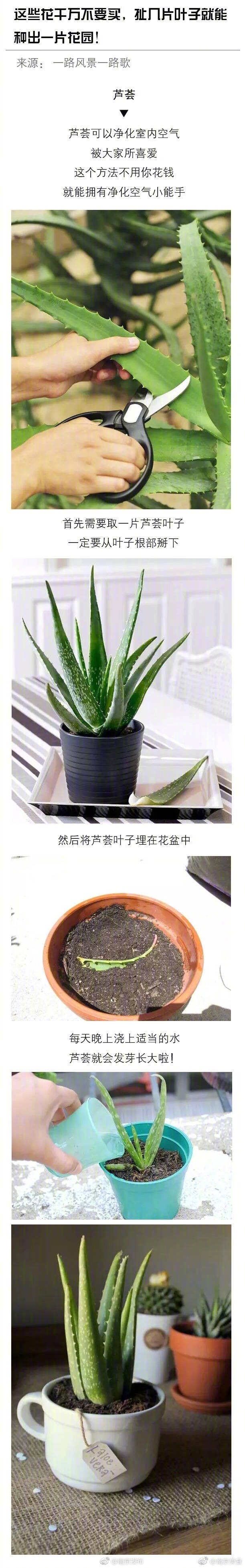 欧美午夜性爱