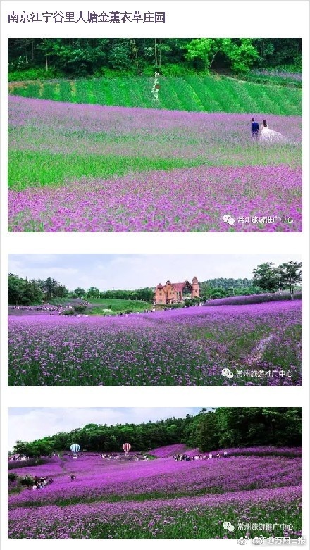 六十路无码视频