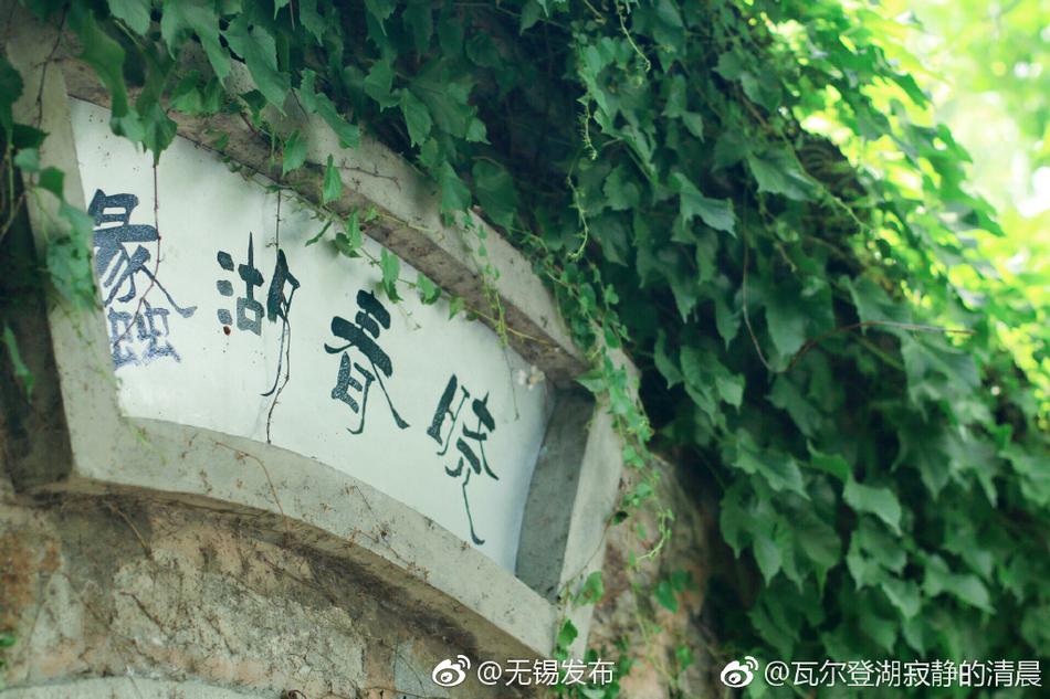 黄色网战浏览免费