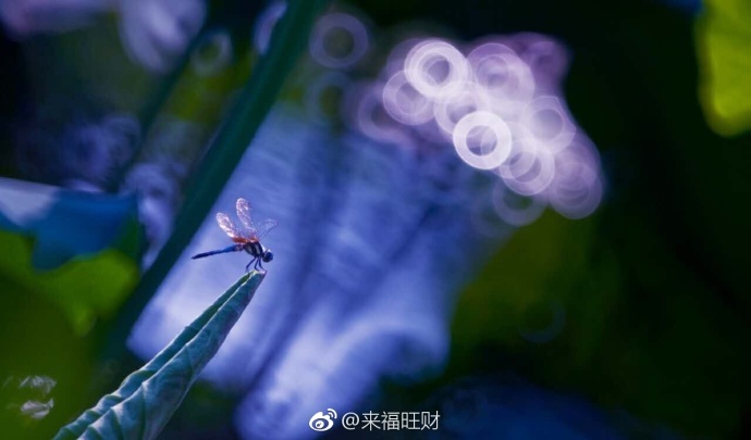 香港日本三级片