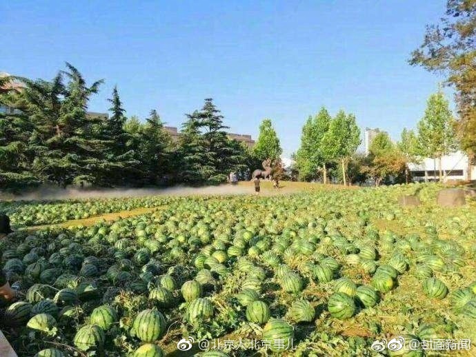 公交车拨开老师内裤