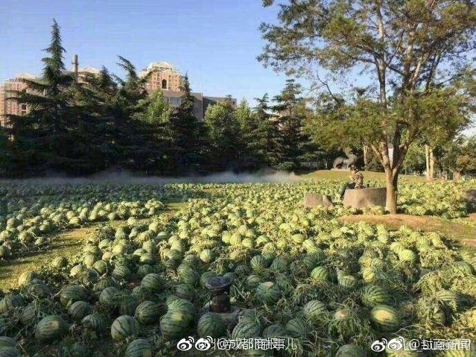 不知火舞被?到爽羞羞视频