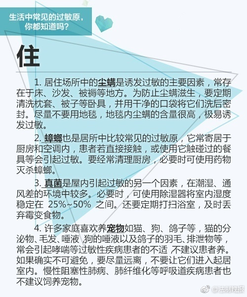 留守番