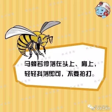 主人+调教+憋尿+高潮+锁男男