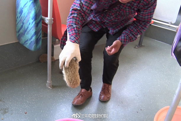 完美身材比基尼