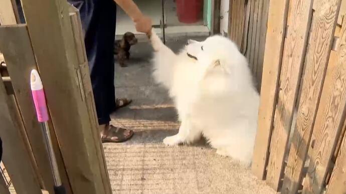 久保田結衣