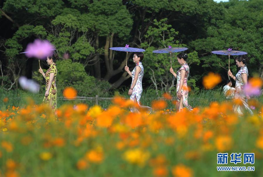 小早川玲子無修正