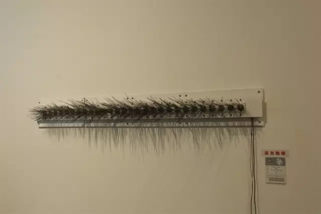 攝護腺按摩