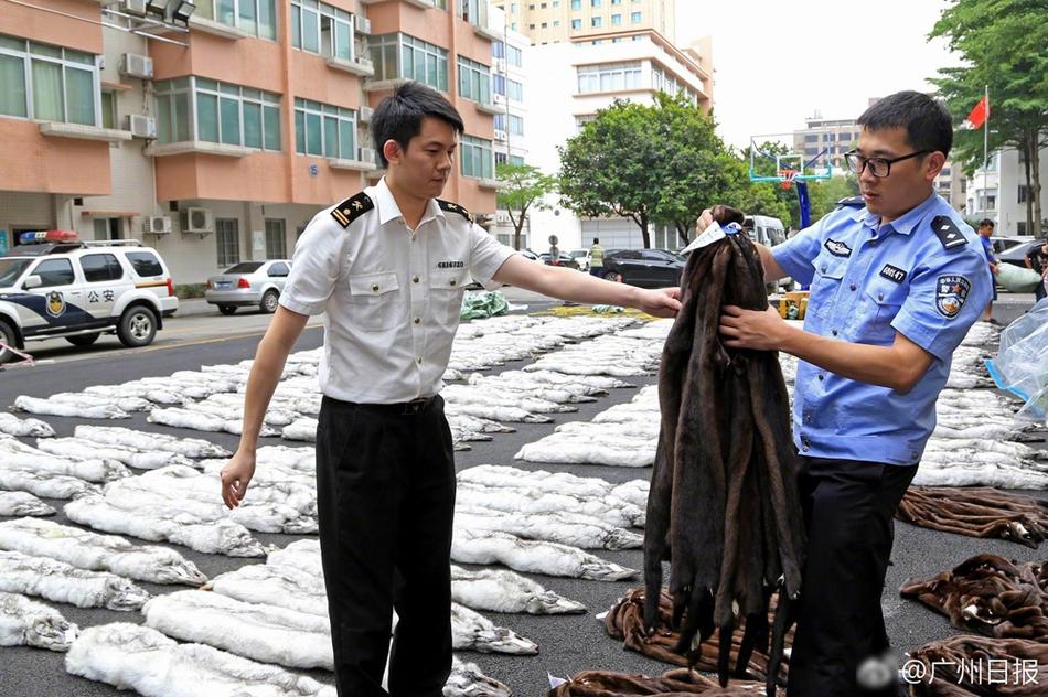 收黄色网站
