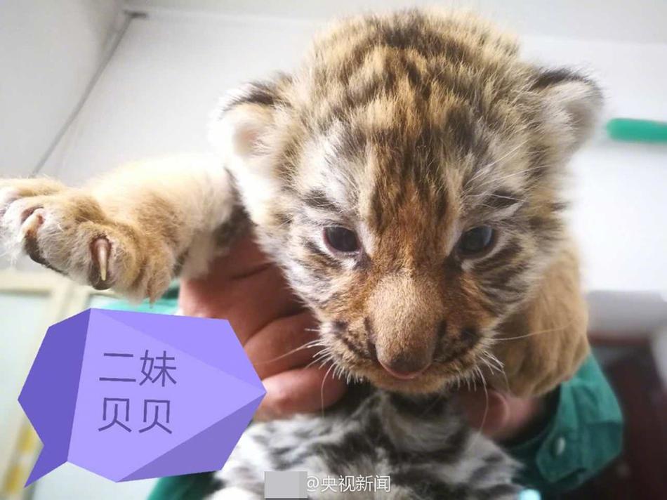 學生妹自拍