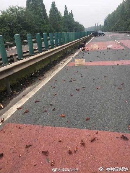 丹尼爾汽車旅館